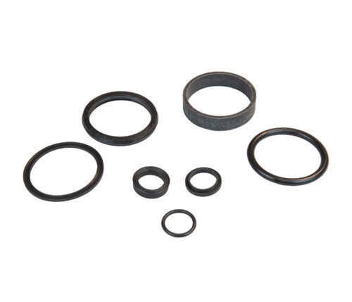 Seal Kit for Globe lifts (SVI Part number BH-7254-09 and OEM reference number 720016).