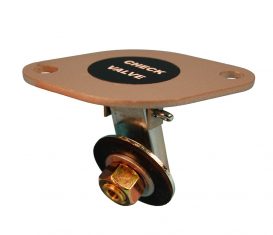 BP-4210-28 ref 066655 66655 Check Valve Assembly for Gasboy