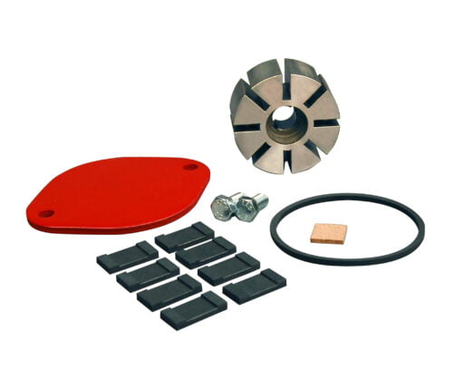 BP-4276-058 ref KIT700RG Rebuild Kit for Fill-Rite FR 700 Series Pumps Repair