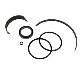 BW-2509-27SK ref 85608884SK Seal Kit for New Style Coats Robo arm